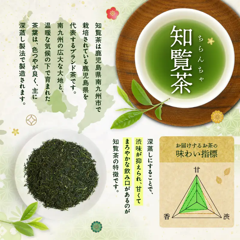 かごしま知覧茶 （ 100g × 10袋 ） K346-001_05