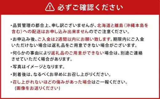 【アフター保証】贈答用 あまおう 約800g【2027年2月上旬～2027年4月上旬発送予定】 いちご イチゴ 苺 化粧箱入り