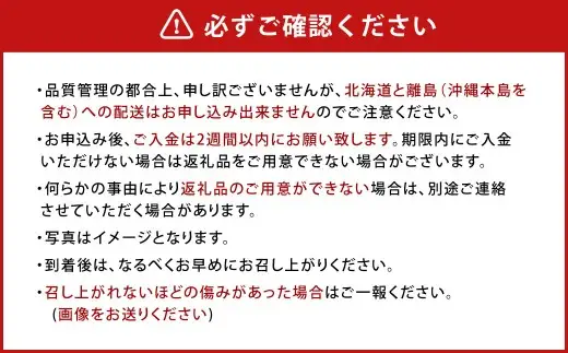 【アフター保証】贈答用 あまおう 約400g【2027年2月上旬～2027年4月上旬発送予定】 いちご イチゴ 苺 化粧箱入り