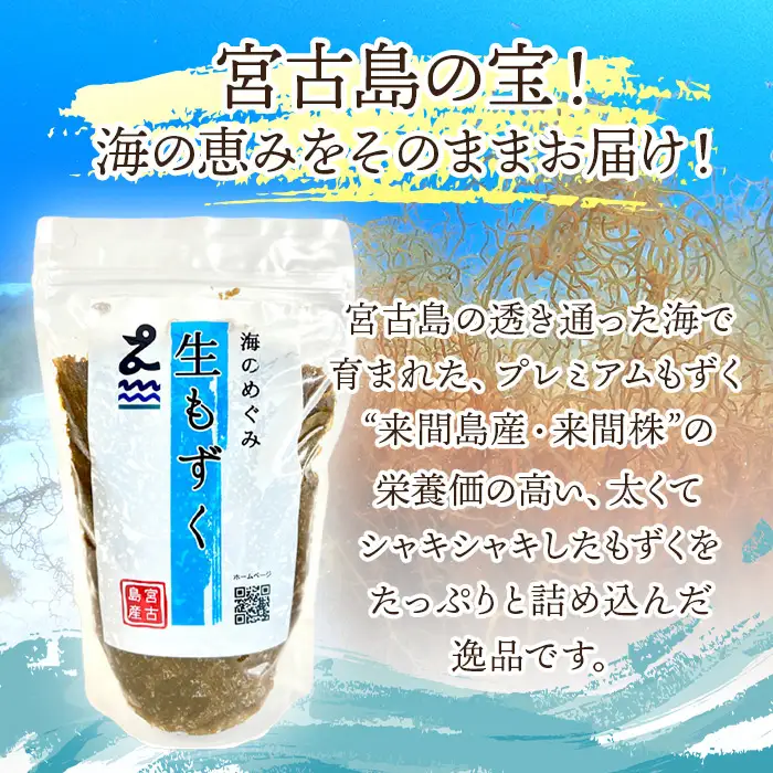生もずく10個セット【もずく麺屋んつばた】(MJ03)