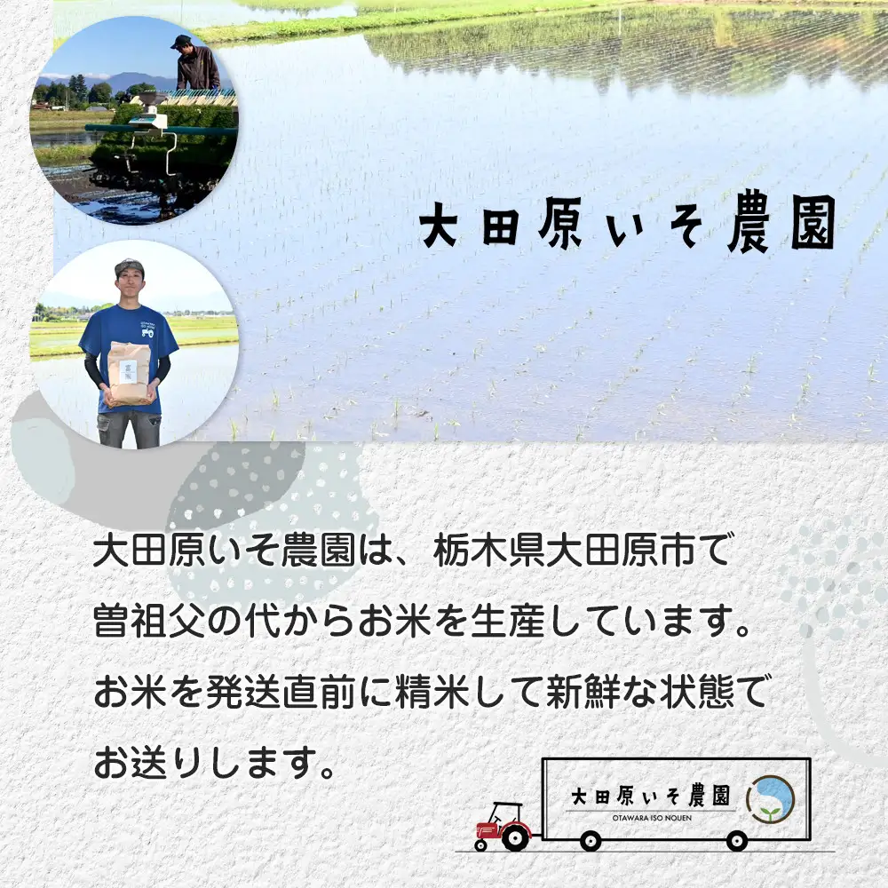 令和8年産 栃木県大田原市産コシヒカリ「富米」 無洗米　5キロ ｜米 お米  無洗米 コメ こしひかり 5kg 大田原いそ農園