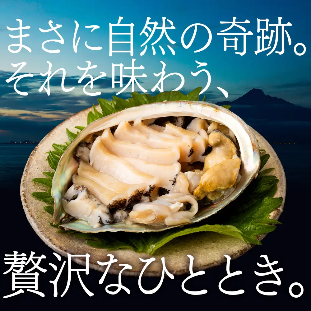 北海道 利尻島産 ☆天然利尻あわび 中サイズ☆　5個