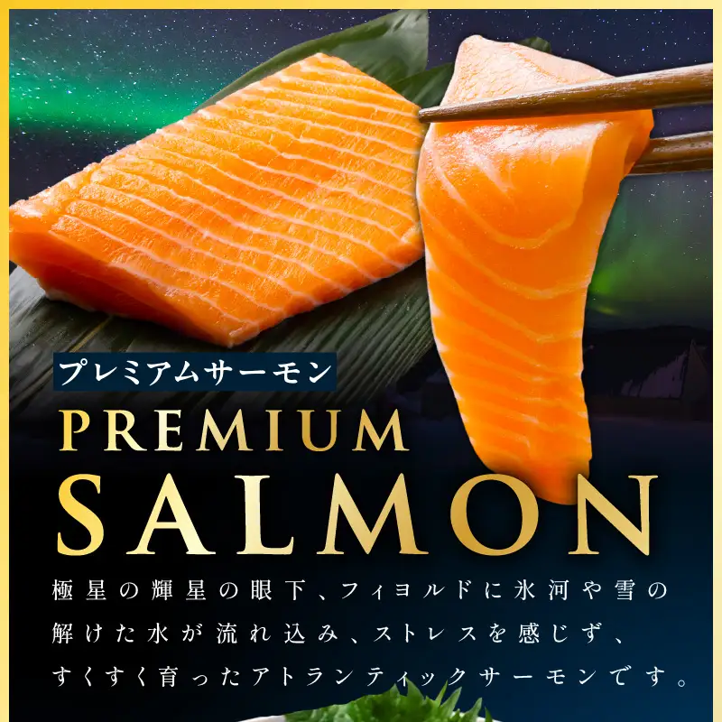 極上サーモン 1kg サーモン ふるなび限定 FN-Limited-PR