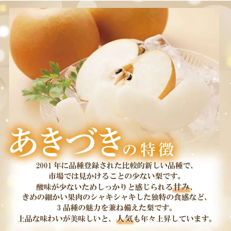 【先行予約】あい farm の梨 あきづき 5kg (7～14玉)  (DQ003)