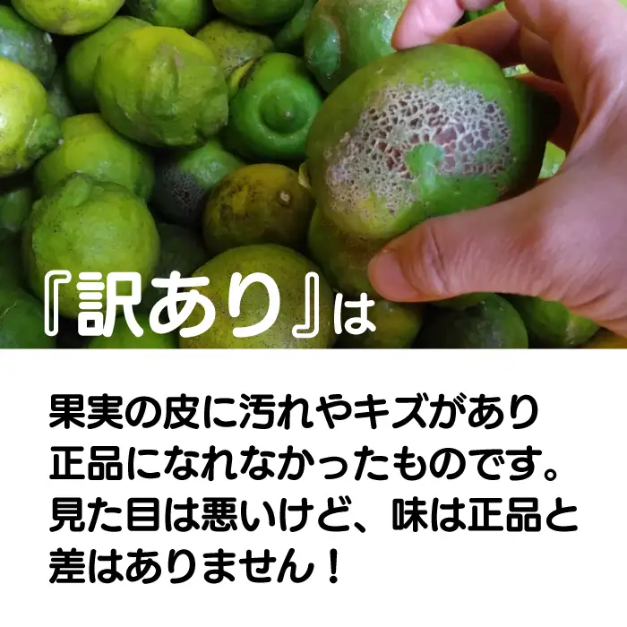 瀬戸内 訳ありグリーンレモン 約2.5kg【栽培期間中防腐剤ワックス不使用】【先行受付】【2026年10月以降発送】レモン 国産 佐木島 三原 広島 フルーツ 果物 柑橘 柑橘類 檸檬 訳あり 017058