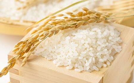 【令和8年産 新米 先行予約】 特別栽培米 つや姫 (精米) 5kg 《令和8年10月中旬～発送》 『フナヤマ農園』 山形南陽産 米 白米 ご飯 農家直送 山形県 南陽市 [2394-R8]