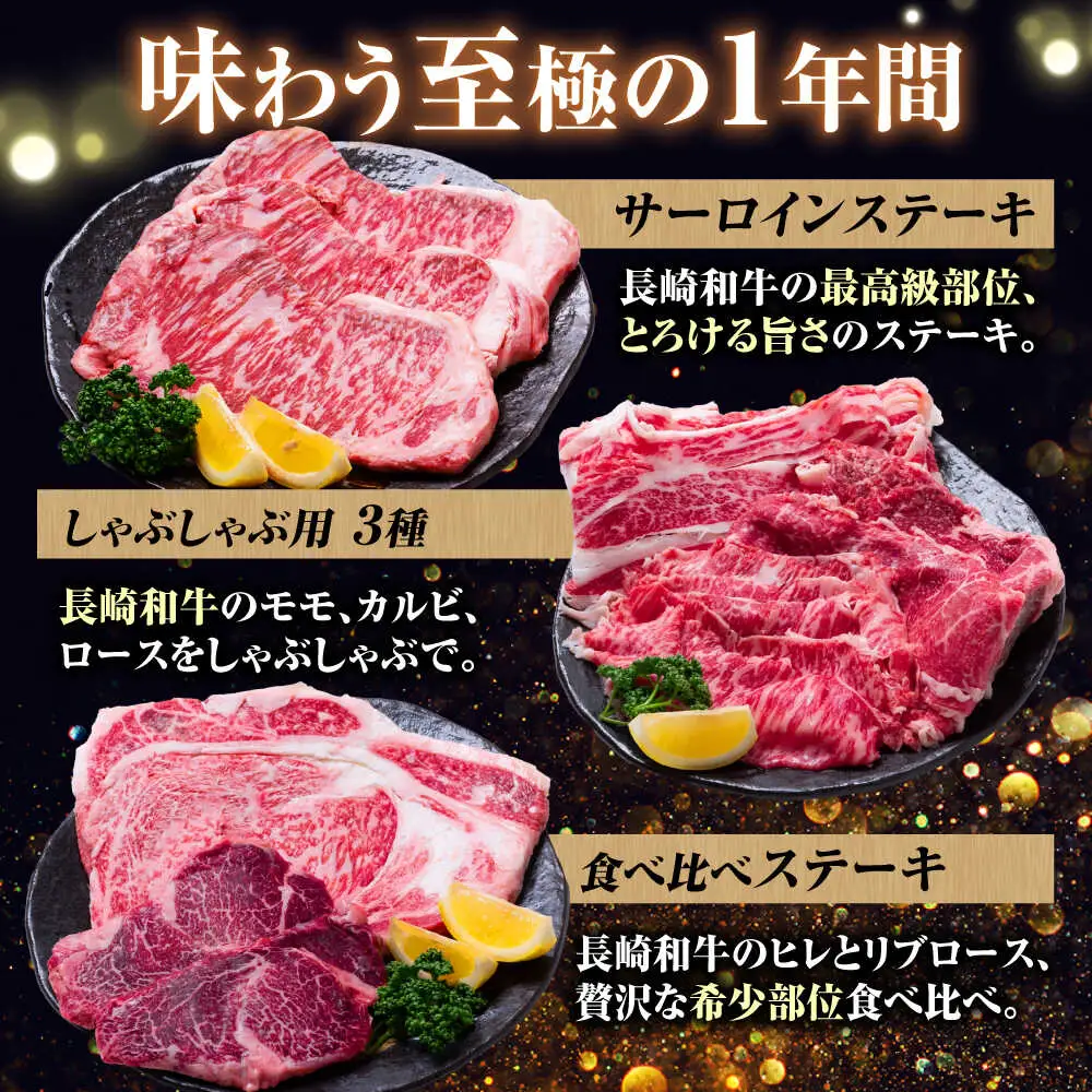【12回定期便】希少部位 長崎和牛 定期便 プレミアムコース 計10kg お楽しみ 牛肉 バラエティ定期便 国産 / サーロイン もも カルビ ロース 焼き肉 すき焼き リブロースステーキ しゃぶしゃぶ 牛ミンチ ヒレ リブロース トモサンカク / 南島原市 / 水田精肉店[SDZ044]