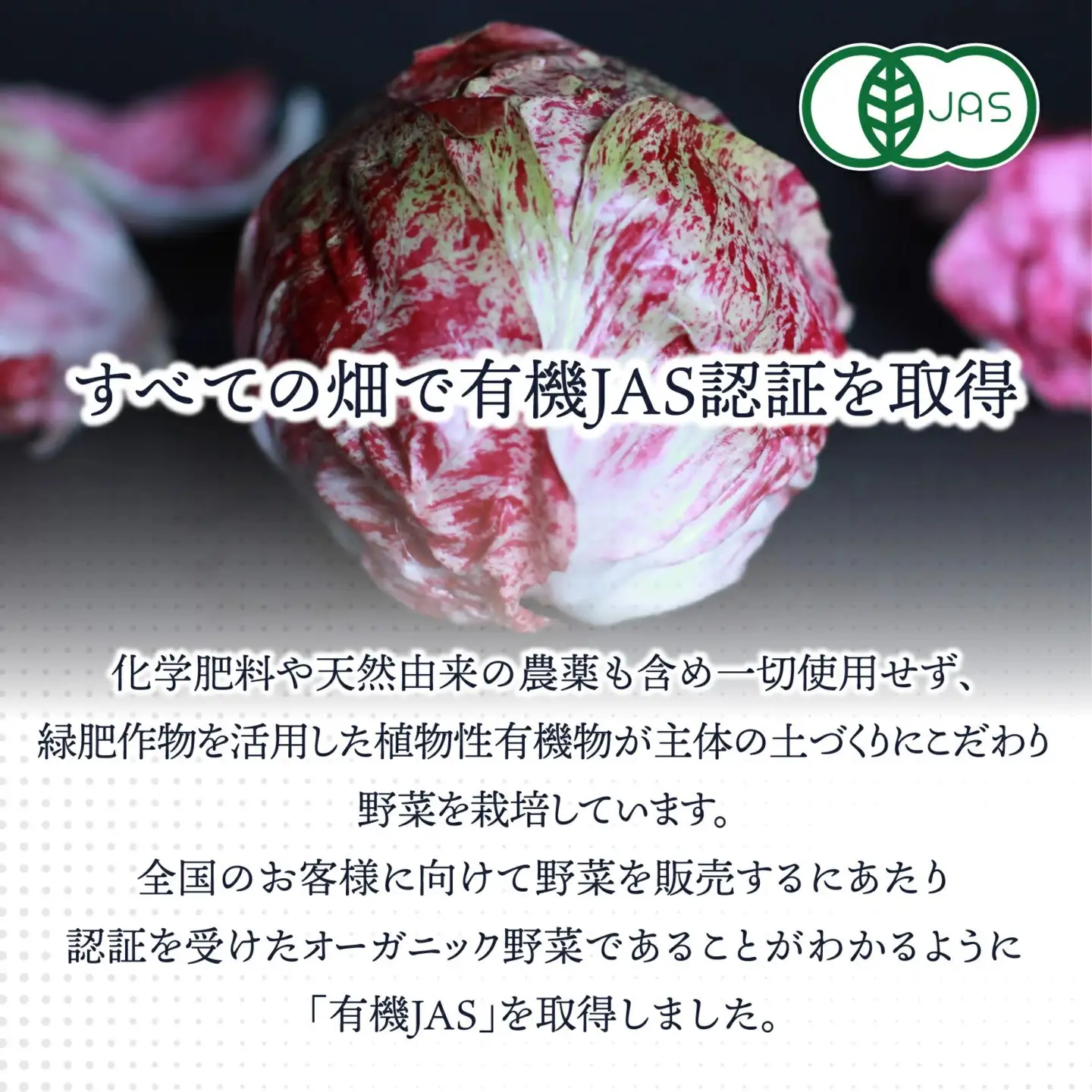 有機JAS認証 旬の野菜セット 8品【ぶたちゃんの畑】_HA1708