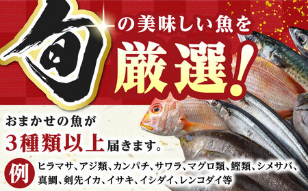 【小分けで便利！】 対馬 旬の刺身セット 1kg（85g×12パック）  刺身 海鮮丼[WAK022]