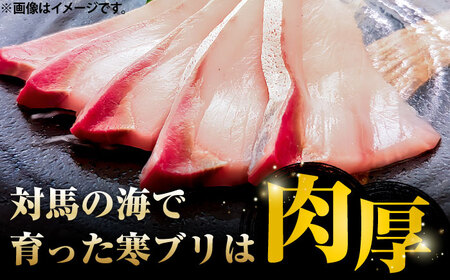 対馬 寒ブリしゃぶ 約1kg（130g×8パック）ブリ 鰤 しゃぶしゃぶ 天然 刺身 海鮮[WAK023]