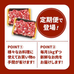 【12回定期便】宮崎県産 黒毛和牛 贅沢切落し1kg(500ｇ×2P×12回)_K16_T016_1