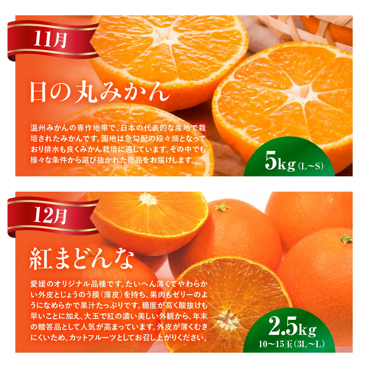 【愛媛県共通返礼品】【定期便】愛媛の柑橘定期便（全6回）（日の丸みかん・紅まどんな・いよかん・デコポン・せとか・河内晩柑） ※2026年11月～2027年4月に毎月1回発送予定  IKTAX018