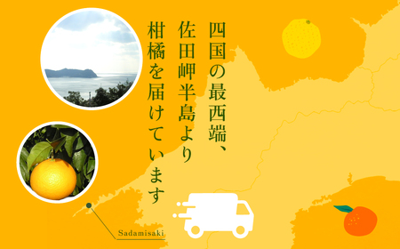 【先行予約】清見タンゴールジュース （720ml×3本）※離島への配送不可（2027年6月上旬より順次発送予定）IKTBD001