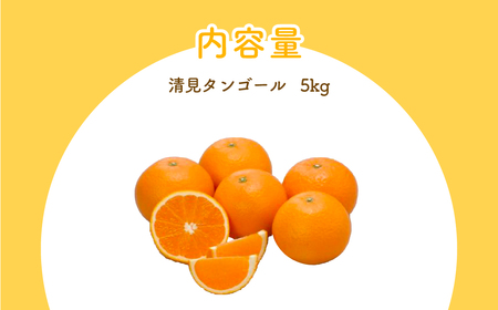 【先行予約】清見タンゴール（生果5kg）※離島への配送不可（2027年3月上旬～4月上旬頃より順次発送予定） IKTBD015