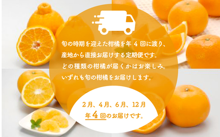 【定期便】2026年度 佐田岬の柑橘定期便（年4回）柑橘 定期 各5kg 愛媛県産（12月、2月、4月、6月発送）※離島への配送不可 IKTBD018