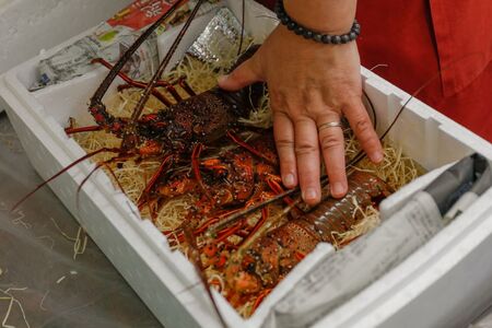 【先行予約】【数量限定】産地直送！活き伊勢えび 約400g×2尾 ※北海道・東北地方・沖縄・離島への配送不可（2026年9月5日頃より順次発送） IKTJ015