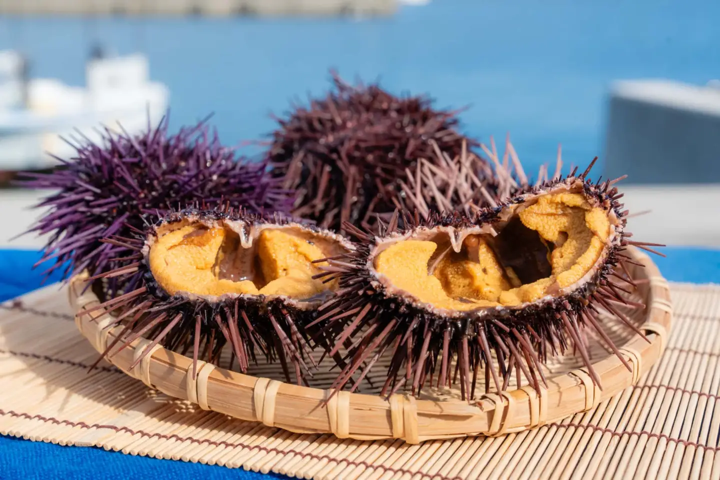 【数量限定】瓶詰め赤ウニ（60g・単品） 冷蔵 ※北海道・沖縄・離島への配送不可 IKTJ018