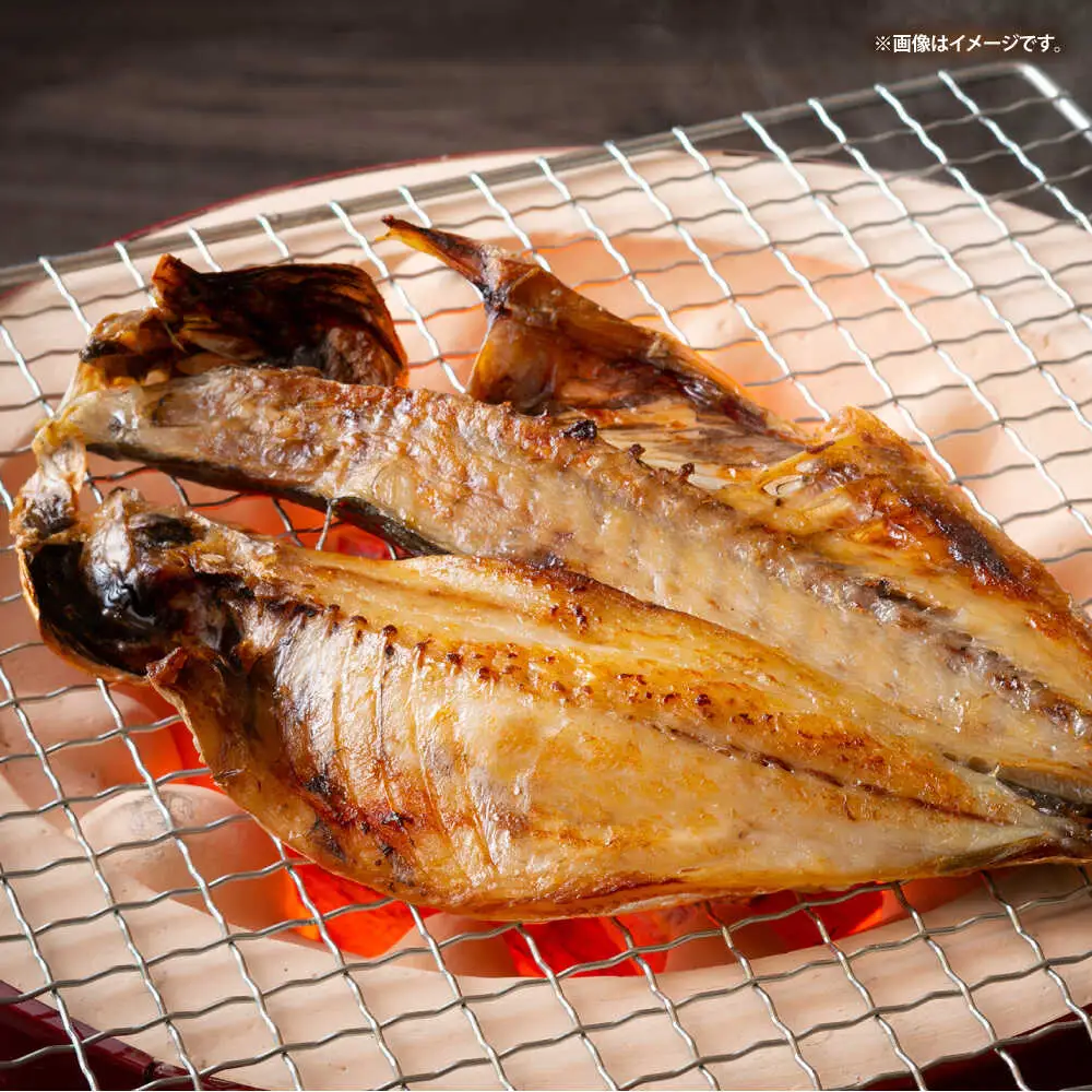 壱岐の海の幸 干物セット《壱岐市》【壱岐市農業協同組合】あじ アジ 鯵 かます カマス いか イカ 烏賊 干物 ひもの 干物セット 冷凍配送[JBO153]