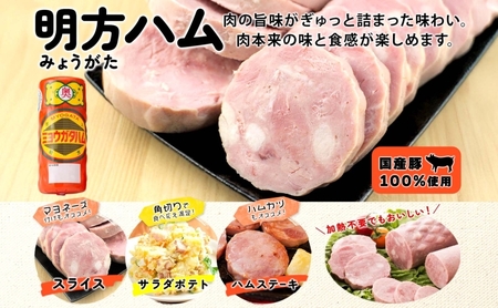 明方ハム プレスハム 豚肉 国産 明方ハム【2本】