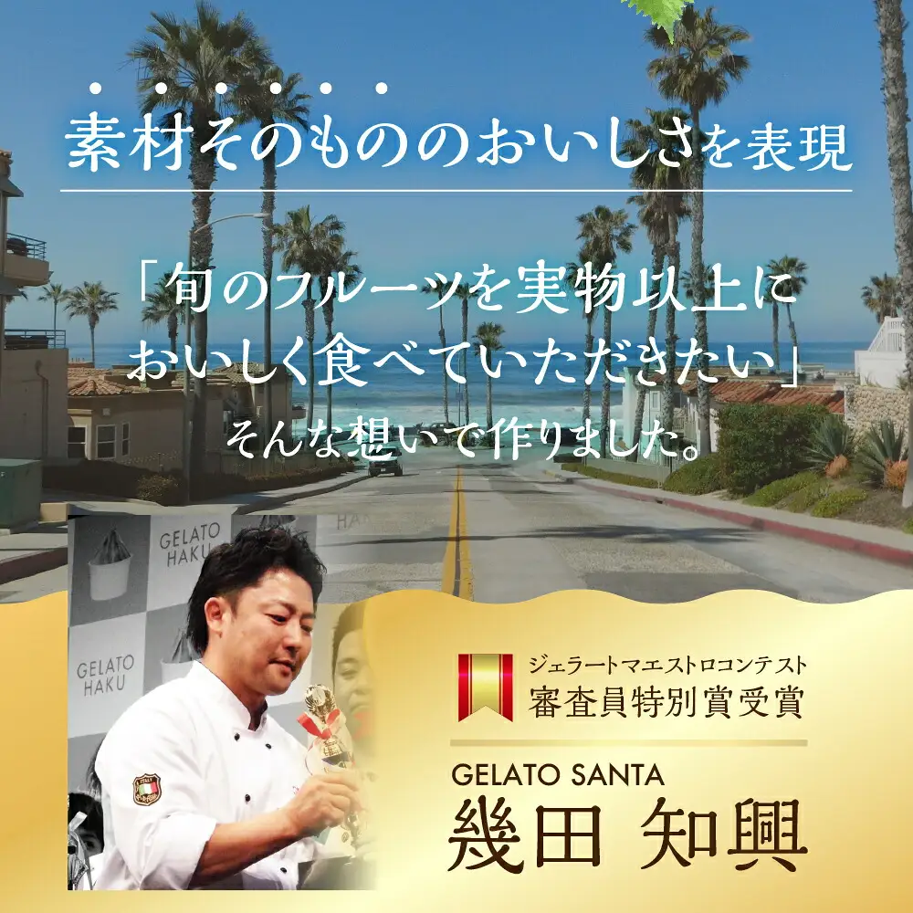 ジェラートマエストロコンテスト受賞＆プレミアムジェラート　8個入