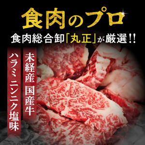 【食肉総合卸 丸正】未経産国産牛ハラミ ニンニク塩味200ｇ [153M05]