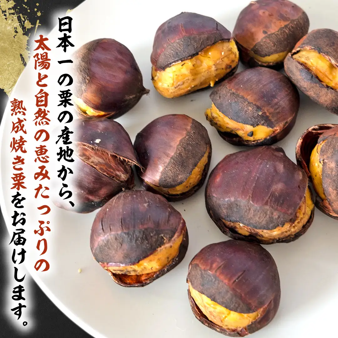 《 2026年 収穫分 》 熟成 焼き栗 ( 200g × 3袋 ) 先行予約 吉原農場 国産 完熟 栗 くり クリ 栗ごはん 栗きんとん 和栗 焼栗 おやつ 和菓子 果物 フルーツ 贈答 ギフト 旬 秋の味覚 秋 冬 正月 おせち 小分け [FC008sa]