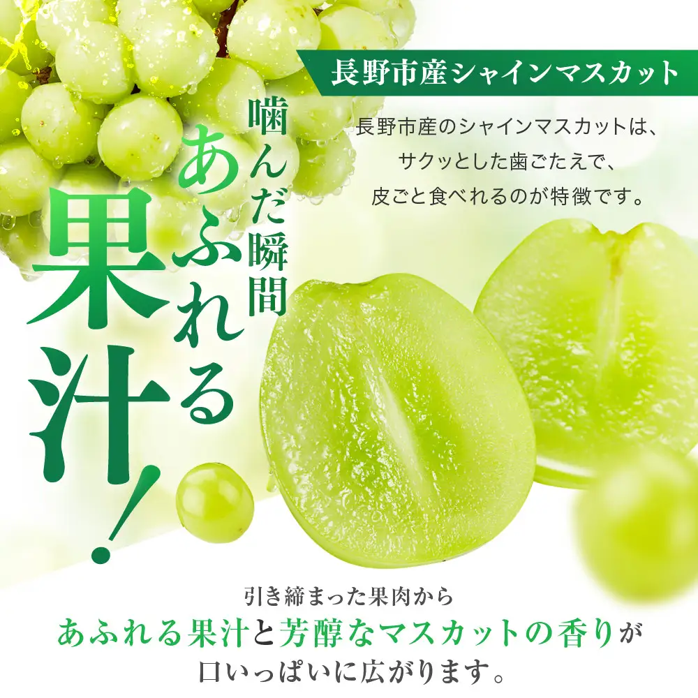 【セット】シャインマスカット＆ナガノパープル 1.5kg 2-3房 |シャインマスカット ぶどう フルーツ