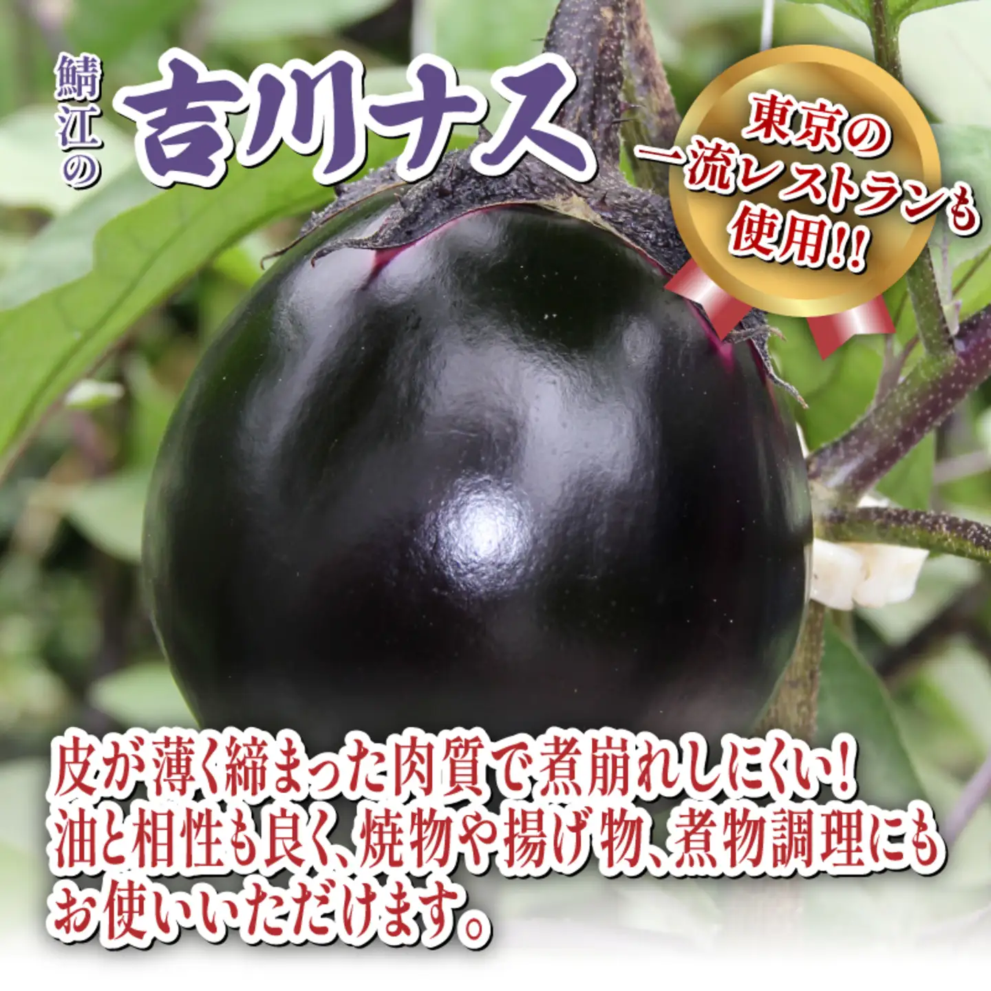 期間限定 吉川ナス 1箱（9個入）野菜 夏