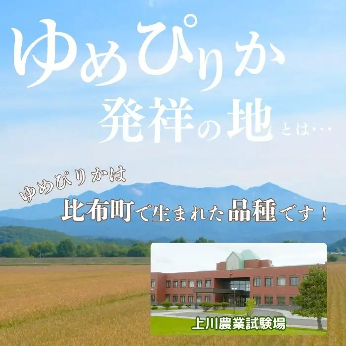 令和7年産【農業生産法人ノウリエ】北海道産 ゆめぴりか 玄米 20kg【11月から12月上旬発送】米 お米 北海道米 特Aランク 国産 コメ 北海道 比布町 ぴっぷ