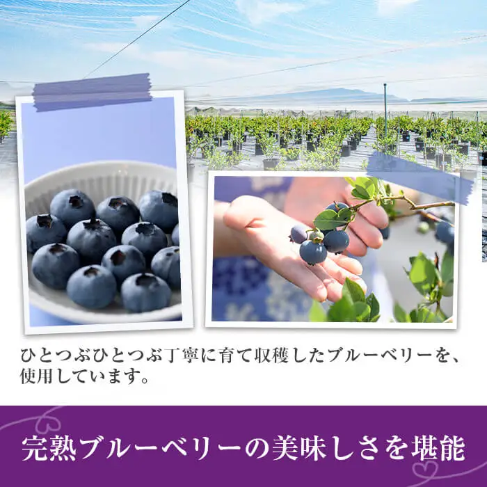 ブルーベリーシャーベット(計660ml・110ml×6個) シャーベット アイスクリーム ソルベ フルーツ ブルーベリー 果物 スイーツ デザート おやつ 勝負めし 【116500300】【藍苺GARDEN イロハノホトリ】