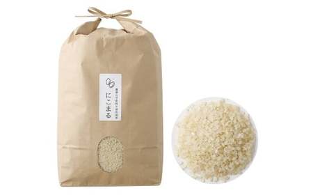 【栽培期間中肥料・農薬不使用】にこまる 七分づき 5kg 福岡県産 白米 お米 精米 【2025年11月上旬より順次発送予定】