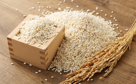 福岡県産 栽培期間中 農薬・肥料不使用 もち米 【五分づき】5kg 1袋 ／ 餅米 もち 米 お米 おこわ 赤飯 福岡県 筑後市