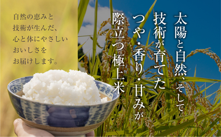 【定期便】《令和8年産 新米》こしひかり 10kg × 12回 定期便 