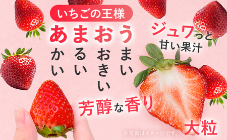 【2027年発送先行予約】あまおう2パック×3回発送定期便 (2月、3月、4月発送) 定期便 約250～270g×2パック いちご フルーツ 果物 あまおう 苺 イチゴ 福岡【発送時期2027年2月、3月、4月】