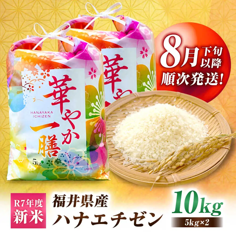 【 先行予約 /8月下旬以降配送】【令和7年度産】【農家直送】 ハナエチゼン 5kg×2袋　 白米 お米 小浜市 / 永耕農産[BFBD010]