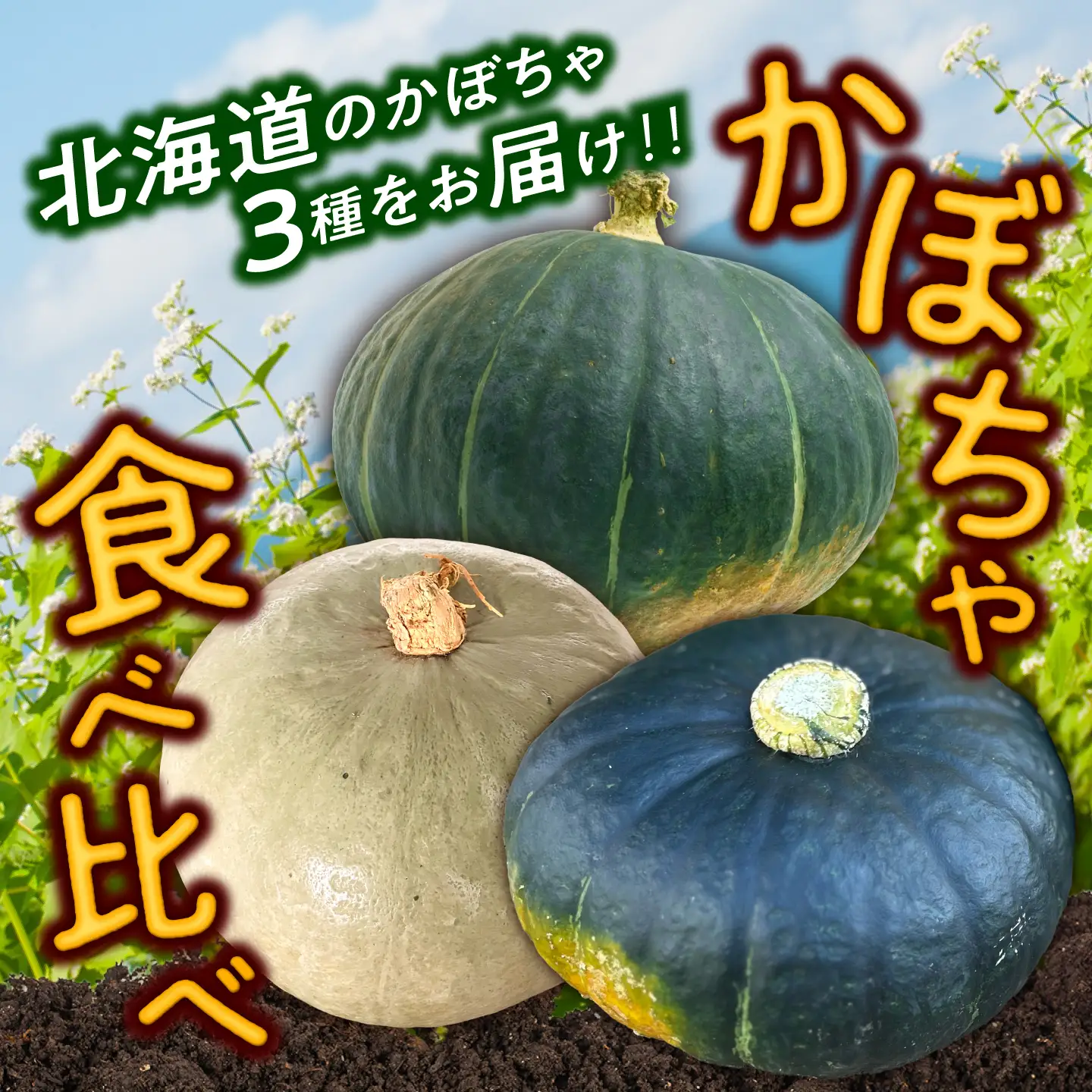 【先行予約】北海道 かぼちゃ 訳あり ダークホース・とっておき・特濃こふき 3種類×1個 【9月中旬以降発送】足寄町/足寄アグリバイオ株式会社 [BEAC014]