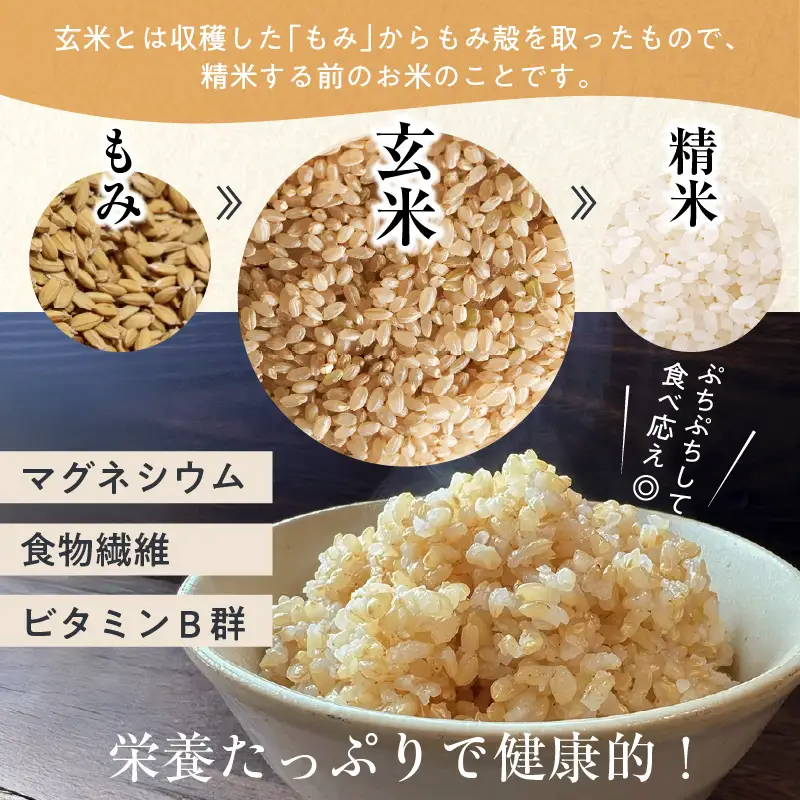 【令和8年産米 先行予約】 香美町産 減農薬 特別栽培米 新米 コシヒカリ 玄米 10kg（5kg×2袋） 【令和8年10月中旬以降発送予定】 米 こしひかり 82-02