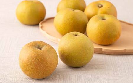FYN6-074 ≪2027年先行予約≫ 贈答用 山形県産 和梨 約3kg（7～12玉） 秀品 2027年8月中旬頃から順次発送 幸水 こうすい 豊水 ほうすい 梨 夏果実 果物 くだもの フルーツ ギフト箱 化粧箱 ギフト プレゼント 贈り物 産地直送 西川町 月山