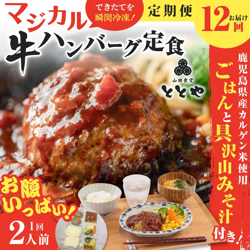 【 全12回定期便 】マジカル 冷凍 牛 ハンバーグ 定食 K258-T03_c 惣菜 総菜