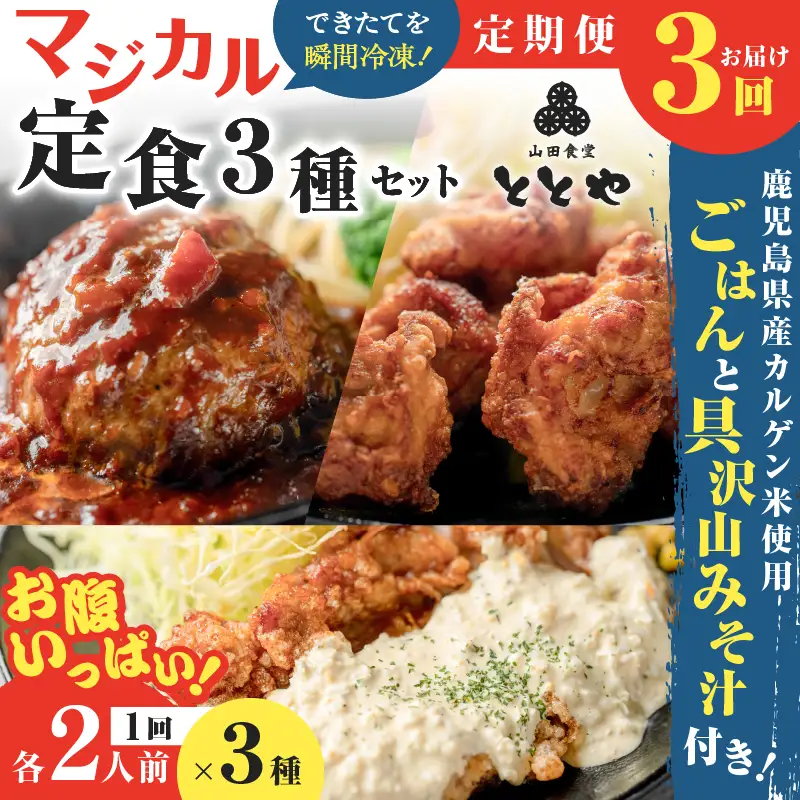 【 全3回定期便 】マジカル 冷凍 定食 三種 セット K258-T04_a 惣菜 総菜