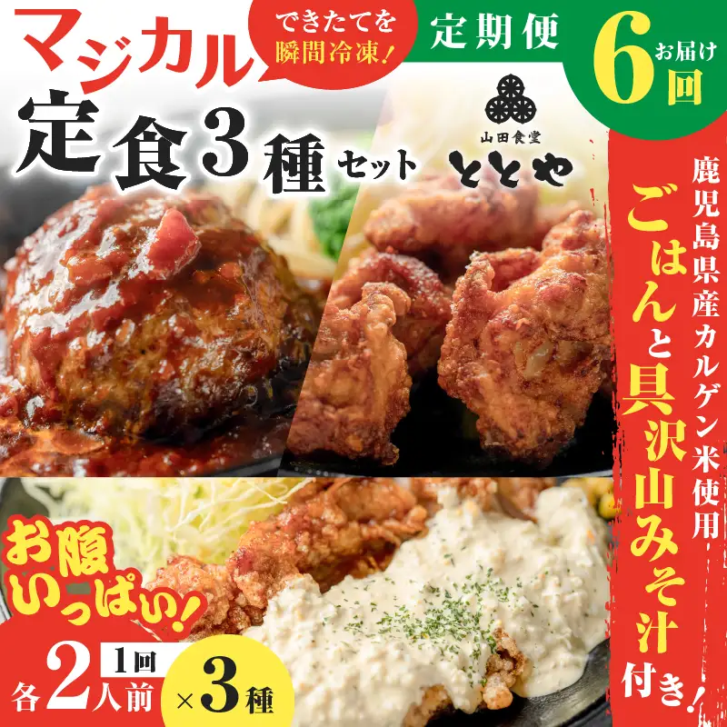【 全6回定期便 】マジカル 冷凍 定食 三種 セット K258-T04_b 惣菜 総菜