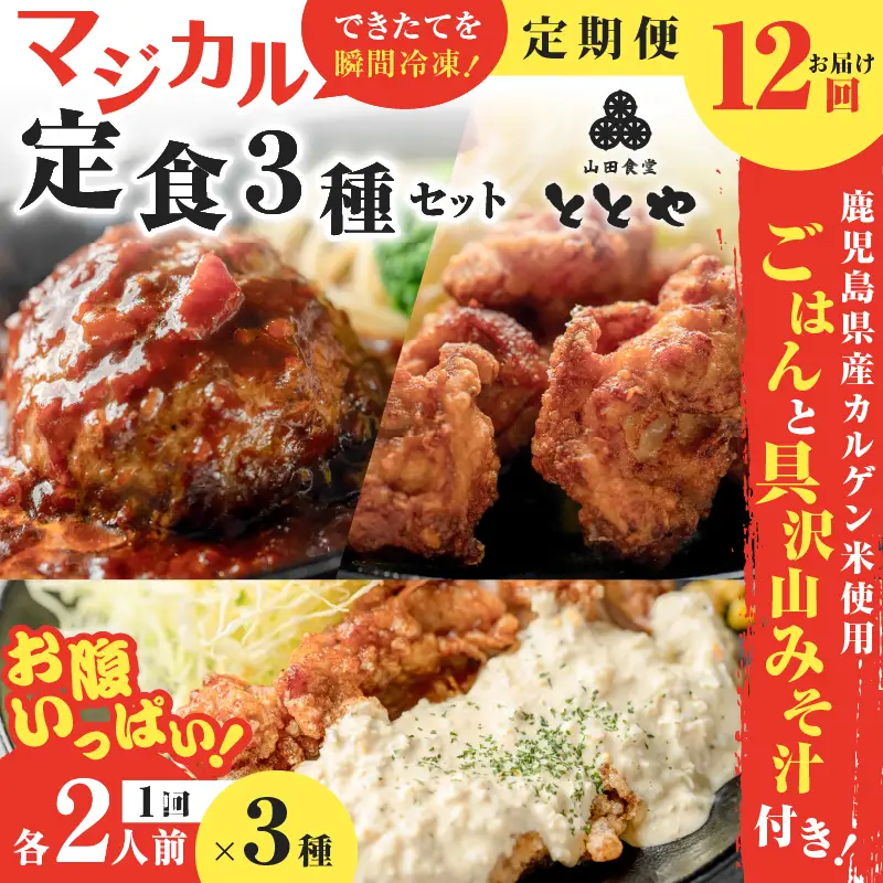 【 全12回定期便 】マジカル 冷凍 定食 三種 セット K258-T04_c 惣菜 総菜