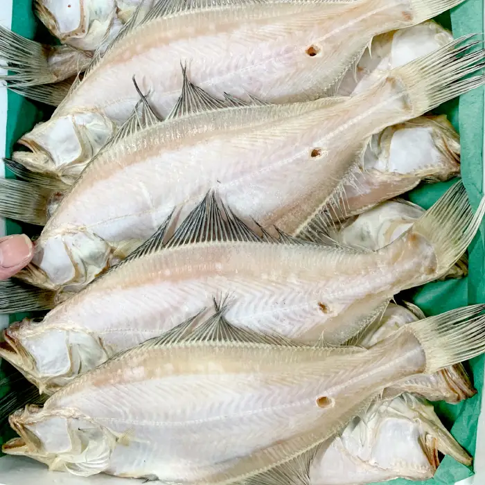 水揚げ直後！干しカレイ(６枚入り)【干物 カレイ かれい 6枚 魚 さかな 旬 エテカレイ 干しカレイ 国産 無添加 水揚げ直後 冷蔵 ノンフローズン 季節限定 大田市】