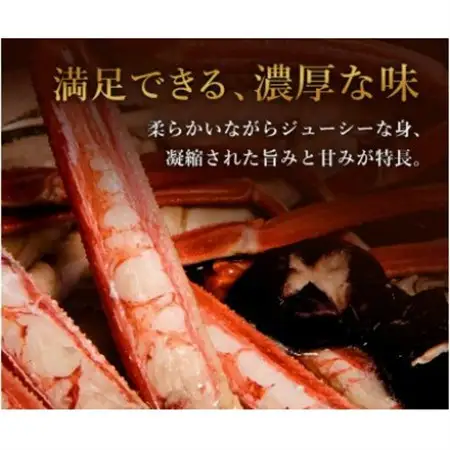 【蟹セレブ】ズワイガニ(紅ズワイガニ)特大1杯(600～700g×1)【配送不可地域：離島・北海道・沖縄県・東北・関東・信越、北陸・東海・九州】【1543622】