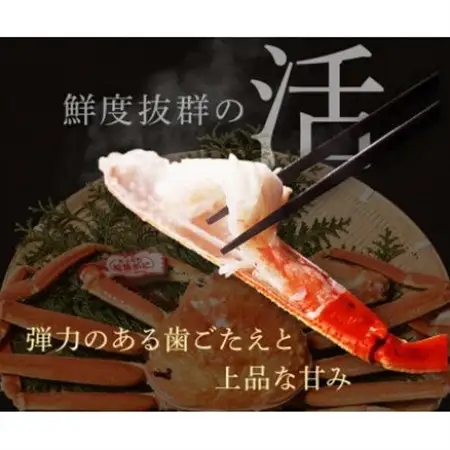 【蟹セレブ】タグ付き活〆ボイル・松葉がに(大・800g前後)【配送不可地域：離島・北海道・沖縄県・東北・関東・信越、北陸・東海・九州】【1543634】