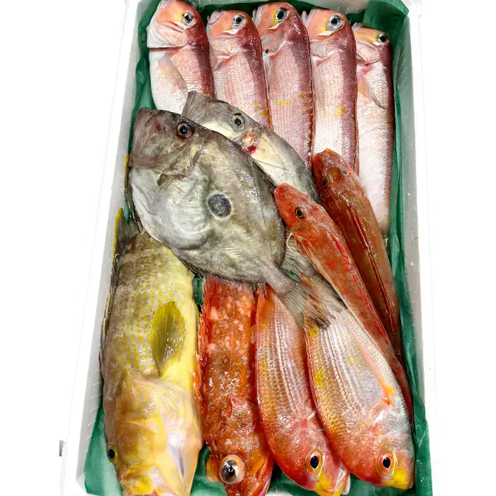 旬の鮮魚ＢＯＸお任せセット（梅）【鮮魚 約5kg 冷蔵 旬 魚 さかな 天然 天然魚 新鮮 地魚 産地直送 水揚げ次第発送 おまかせ セット 詰め合わせ お取り寄せ 大田市 和江漁港】