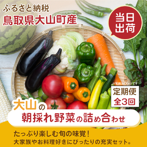 MS-04　新鮮朝採れ野菜セット 頒布会（計3回）