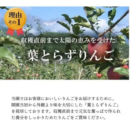 【南信州あじさい農園】葉とらずりんご(シナノリップ)約3kg【配送不可地域：離島】【1592838】