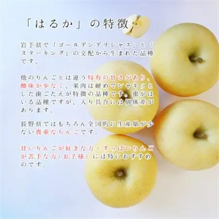 【桃沢晴香園】はるか(りんご)5kg　ご自宅用【配送不可地域：離島・沖縄県】【1606259】