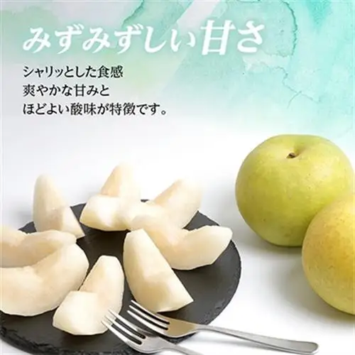 二十世紀梨 4.5kg(秀12～14玉)【1615466】